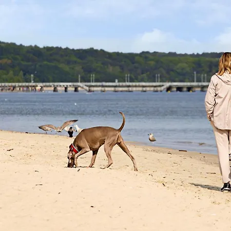 Aqua House ベッド・アンド・ブレックファスト 3*