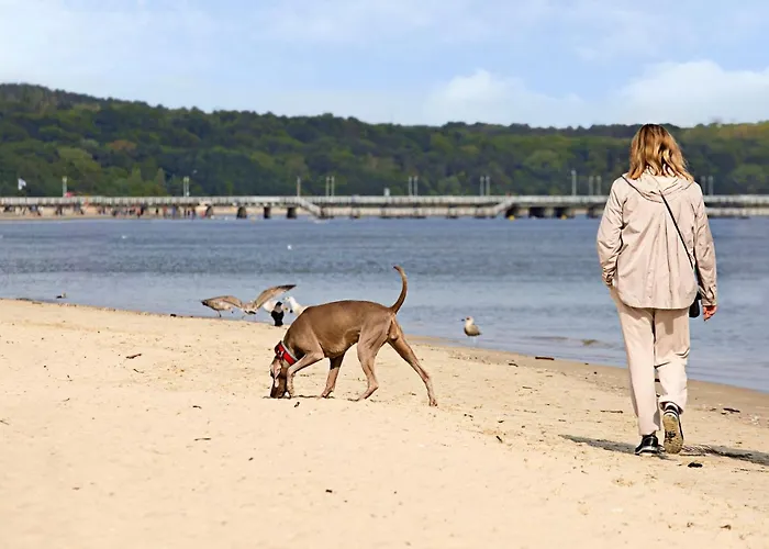 Aqua House Frühstückspension 3*